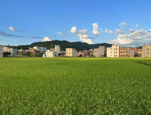 海底VS新西蘭直播_海底VS新西蘭直播觀看免費(fèi)_海底VS新西蘭